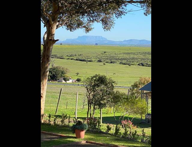 M² FARM FOR SALE IN WINDMEUL